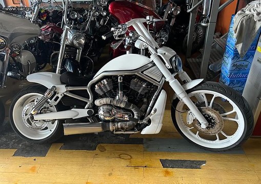 Car Gr Harley Davidson V ROD 08 2008