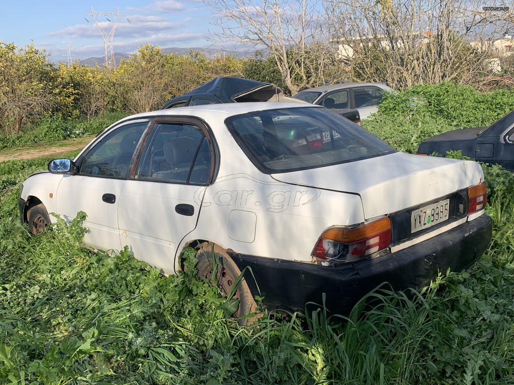 Car Gr Toyota Corolla