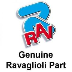 ΕΞΟΥΣΙΟΔΟΤΗΜΕΝΟ SERVICE RAVAGLIOLI ITALY