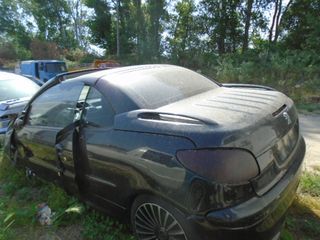 PEUGEOT 206 ΚΑΜΠΡΙΟ 2003 1587cc AP.KIN.NFU10FX3V