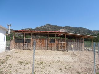 Πωλείται ποιμνιοστάσιο-thumb-8