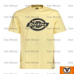 DICKIES HS ONE COLOR T-SHIRT YELLOW