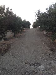 Πετροσυλλέκτες 2017-thumb-11