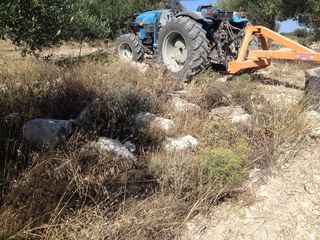 Πετροσυλλέκτες 2017-thumb-14
