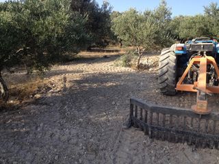 Πετροσυλλέκτες 2017-thumb-17