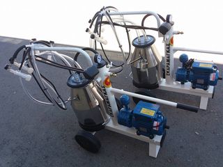 Μηχανήματα Αρμέγματος / Εκτροφής Tecnosac 2026 ΙΤΑΛΙΑΣ ΣΚΑΡΑΜΑΓΚΑΣ ΚΩΝΣΤΑΝΤΙΝΟΣ-thumb-41