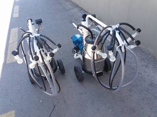 Μηχανήματα Αρμέγματος / Εκτροφής Tecnosac 2026 ΙΤΑΛΙΑΣ ΣΚΑΡΑΜΑΓΚΑΣ ΚΩΝΣΤΑΝΤΙΝΟΣ-thumb-50