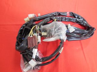 Aprilia ETV 1000 Capo Nord  Κεντρική Καλωδίωση AP8124581