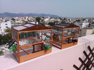  Καρδερινα -thumb-5