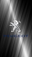 ΑΙΣΘΗΤΗΡΑΣ Λ PEUGEOT 206