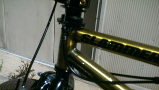 BMX GT 2018-thumb-3