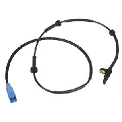 ΑΙΣΘ ABS ΕΜ C2,C3, P1007 02- ΚΑΙΝ. DELPHI SS20133 CITROEN C2 CITROEN C3 PEUGEOT 1007