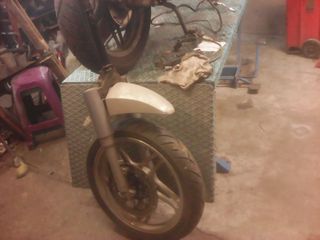 CHEETAH ZNEN 150 BRAUNING TIMONI-thumb-2