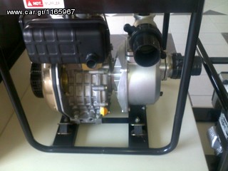 ANTLIA NEROY    LIONB-thumb-1