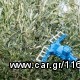  ΕΛΑΙΟΡΑΒΔΙΣΤΙΚΟ ATRAX ELECTRIC 4+ ΜΠΑΤΑΡΙΑ MITSUBA 72Ah+ΚΑΡΟΤΣΙ +ΦΟΡΤΙΣΤΗΣ