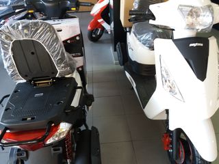 Daytona 2026 CARGO 125  ECO-thumb-8