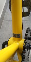 BMX Bullet 2021 BORA 20" PHOENIX OG + ΠΟΛΛΑ ΔΩΡΑ-thumb-9