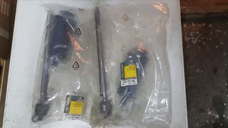 Ημίμπαρα set Renault Scenic RX4 7701473443