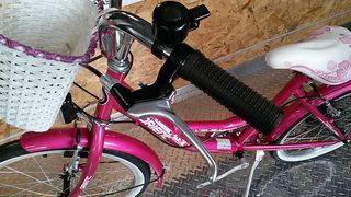 Πόλης Orient 2026 CITY CLASSIC 20'' LADY-thumb-4