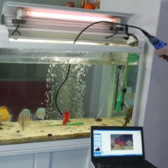 Ενδοσκοπική αδιάβροχη κάμερα USB - Cst VID-98A-thumb-4