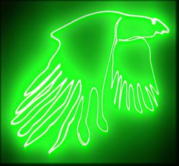 Ρομποτική Κεφαλή Laser Light DMX 3D FX-thumb-13