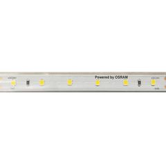 Ταινία led 5m SMD 12W/m 24V DC θερμό φως 3000k 1250lm/m 12mm στεγανή IP66