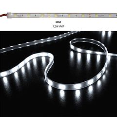 Led ταινία 5m ECO ισχύος 7.2W/m 12VDC 30led/m λευκό ψυχρό φως στεγανή IP67