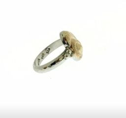 Δαχτυλιδι Αςημένιο και Χρυσος 14k-thumb-2