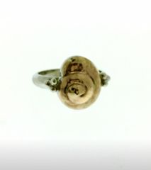 Δαχτυλιδι Αςημένιο και Χρυσος 14k-thumb-4