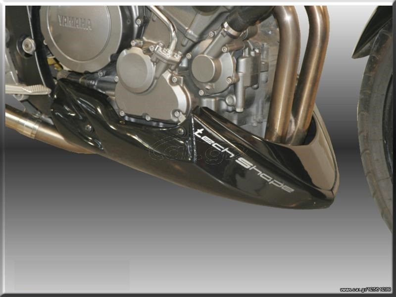 Καρίνα Yamaha TDM  03-11