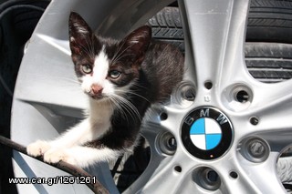 BMW CLASSICS E12-thumb-238