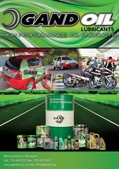 GAND OIL G-13 ANTIFREEZE FLUID -74c 1lt x 24 τεμ.-thumb-1