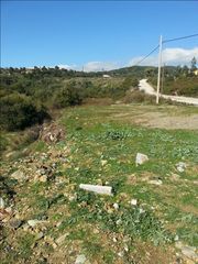 οικοπεδο-thumb-3
