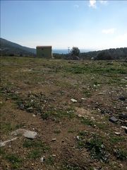 οικοπεδο-thumb-4