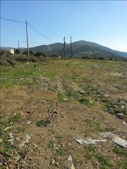 οικοπεδο-thumb-7