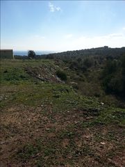 οικοπεδο-thumb-11