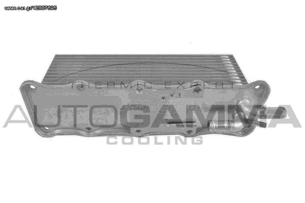 Ψυγείο Intercooler SKODA FABIA Hatchback / 5dr 2014 - 2018 1.2 TSI  ( CJZC  ) (90 hp ) Βενζίνη #746106240