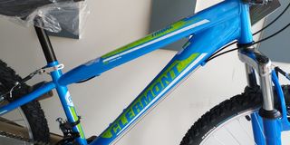 All - Mountain Clermont 2021 TRIBAL 24" SHIMANO ΠΡΟΣΦΟΡΑ!-thumb-1