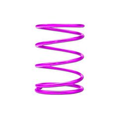 GReddy Wastegate Spring (P) R,C or CH from 1.5 kg/cm2