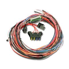 AEM EMS-4 96 inch Wiring Harness with Fuse and Relay Panel