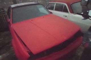 σασι  bmw bauer-thumb-1