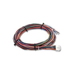 AEM Wiring Harness for V3 Controller with Internal MAP Sensor Standard or HD