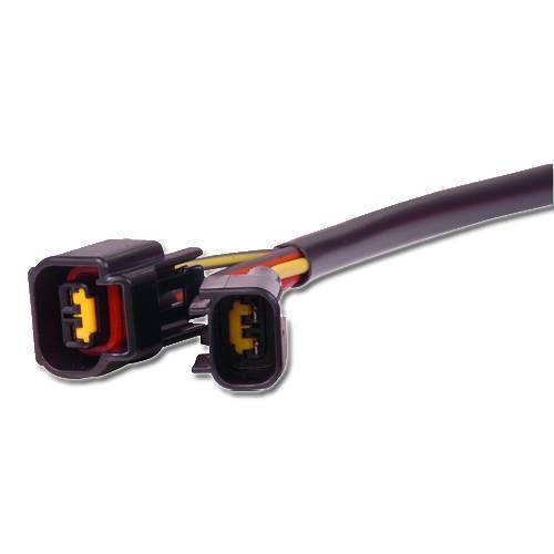 MSD Dual DIS-4 Harness