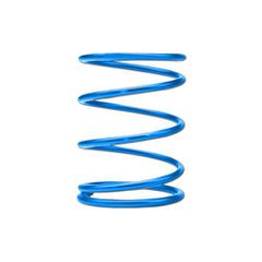GReddy Wastegate Spring (B) R,C or CH 1.1-1.5 kg/cm2