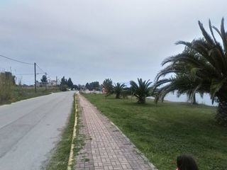 ΜΕΖΟΝΕΤΑ ΧΑΛΚΙΔΑ-thumb-4