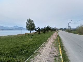 ΜΕΖΟΝΕΤΑ ΧΑΛΚΙΔΑ-thumb-6