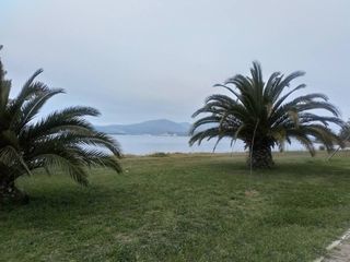ΜΕΖΟΝΕΤΑ ΧΑΛΚΙΔΑ-thumb-7