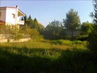 οικοπεδο
