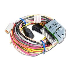 AEM AQ-1 96 inch Flying Lead Wiring Harness