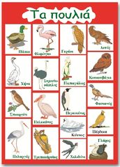 Εκπαιδευτική αφίσα "Πουλιά" στα Ελληνικά
